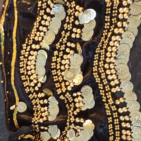 Belly Dance Velveteen Skirt Wrap with Golden Coins - Picture 4 of 4
